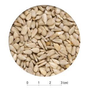 スドー ナッツ王国 殻むきヒマワリの種 55g...の詳細画像1