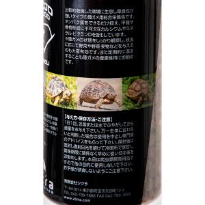 ジクラ JOJO FOOD GHIBLI ギブ...の詳細画像3