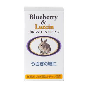 ブルーベリー&ルテイン 60粒 犬の瞳に サプリメント 日本ビーエフ 正規