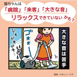 キャットフード アイシア ミャウミャウ カリカ...の詳細画像5