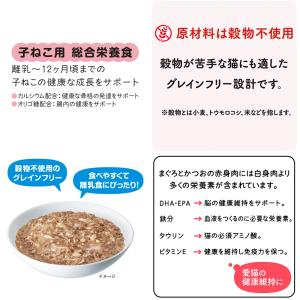 アイシア 黒缶パウチ 子ねこ用 まぐろかつおゼ...の詳細画像3