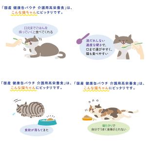 アイシア 国産 健康缶パウチ 介護用高栄養食 ...の詳細画像4