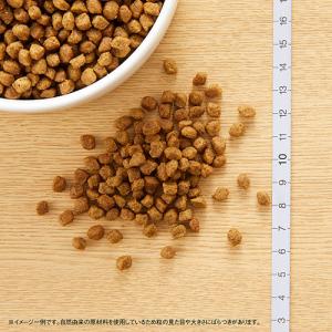 ニュートロ ナチュラルチョイス 超小型犬用 成...の詳細画像5
