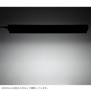 三晃商会 REPTIZOO T5 UVB10....の詳細画像2
