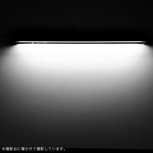 三晃商会 REPTIZOO T5 UVB10....の詳細画像3