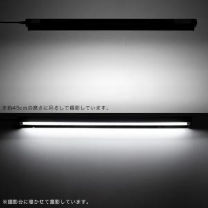 三晃商会 REPTIZOO T5 UVB10....の詳細画像2