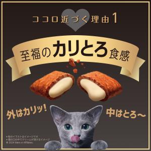 キャットフード シーバ デュオ 200g お肉...の詳細画像2