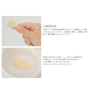 三晃商会 無添加習慣 フリーズドライ 鶏ささみ...の詳細画像5