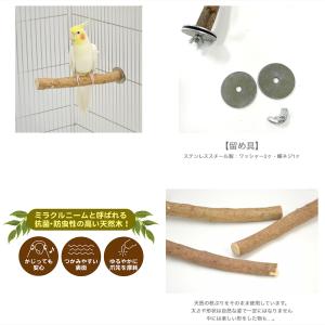 三晃商会 ニームのとまり木 20の詳細画像5