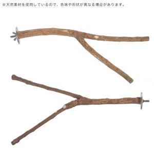 三晃商会 ニームのとまり木 ブランチの詳細画像4