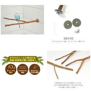 三晃商会 ニームのとまり木 ブランチの詳細画像5