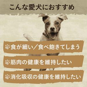 ニュートロ ワイルド レシピ 超小型犬〜小型犬...の詳細画像4