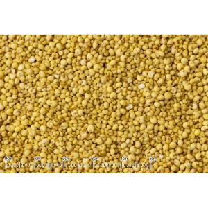 黒瀬ペットフード SSシリーズ シード食専用サ...の詳細画像1