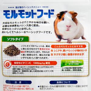 日本ペットフード モルモットフード ソフトタイ...の詳細画像2
