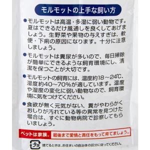 日本ペットフード モルモットフード ソフトタイ...の詳細画像5
