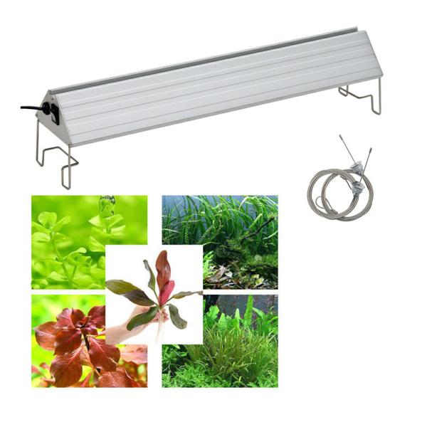 （水草）おまかせ水中葉レイアウトセット　１０種（無農薬）＋アクロＬＥＤ　ＶＩＶＩＤ４５０　４５ｃｍ水...