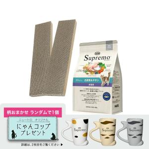 爪とぎ　カリカリくん　通常　２枚入り　爪みがき＋ニュートロ　シュプレモ　成猫用　白身魚＆チキン　４００ｇ　にゃんコップ１個おまけ付き　柄おまかせ