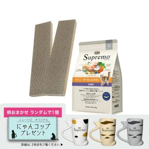 爪とぎ　カリカリくん　通常　２枚入り　爪みがき＋ニュートロ　シュプレモ　成猫用　サーモン＆チキン　４００ｇ　にゃんコップ１個おまけ付き　柄おまかせ