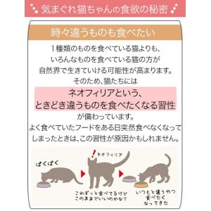 ロイヤルカナン 猫 FHN-WET 室内で生活...の詳細画像3