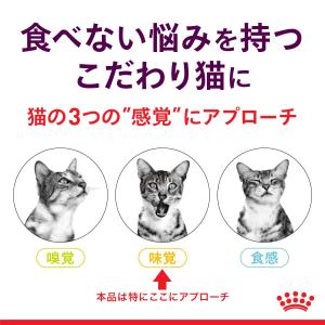 ロイヤルカナン 猫 センサリーテイスト 味にこ...の詳細画像2