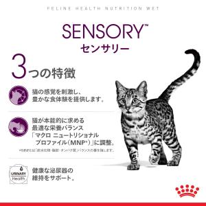 ロイヤルカナン 猫 センサリーテイスト 味にこ...の詳細画像3