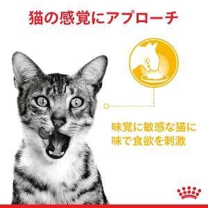 ロイヤルカナン 猫 センサリーテイスト 味にこ...の詳細画像4