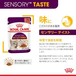 ロイヤルカナン 猫 センサリーテイスト 味にこ...の詳細画像5