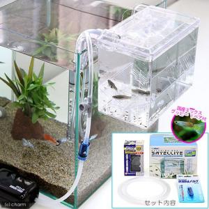 チャーム（charm） 外掛式産卵飼育ボックス サテライトS スターター