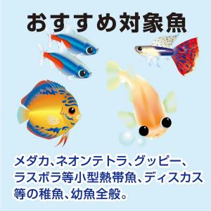 冷凍★ミジンコ キョーリン ビタクリンミジンコ...の詳細画像5