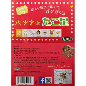 川井 バナナdeたこ足×3個の詳細画像1