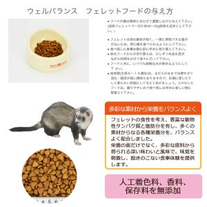 フェレットフード 三晃商会 ウェルバランス 8...の詳細画像1