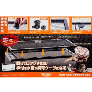 ニッソー らんちゅう NS-6MKF+コトブキ...の詳細画像2