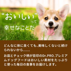 ドッグフード 国産 ドクタープロ Dr.PRO...の詳細画像3