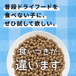 ドッグフード 国産 ドクタープロ Dr.PRO...の詳細画像5