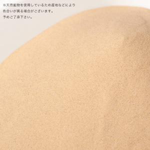NPF Sand club チンチラ 浴び砂 ...の詳細画像1