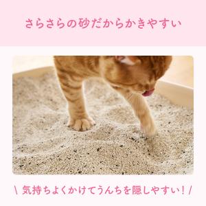 エリエール キミおもい カチッと固まるネコ砂 ...の詳細画像4