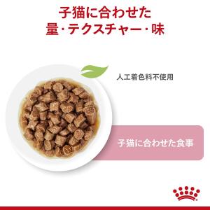 ロイヤルカナン 子猫 キトン グレービー 成長...の詳細画像2