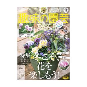 ＮＨＫ趣味の園芸　２０２３年１２月号　特集　冬こそ、花を楽しもう！　シクラメン　サイネリア　ハボタン｜chanet