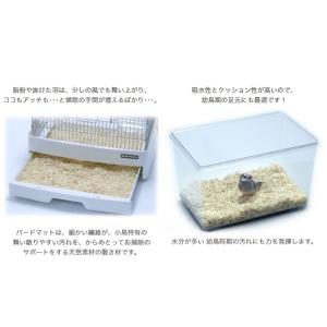三晃商会 バードマット 5L×5 鳥 敷材 お...の詳細画像4