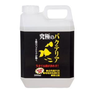 冷蔵☆Bio・Ace バイオ・エース 500cc バクテリア 錦鯉 池