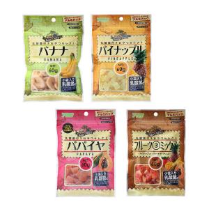 GEX（ジェックス） ぷちグラ いきいきベジミックス 40g ハムスター
