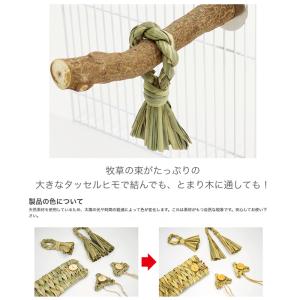 三晃商会 ヘイへイトイ タッセルシングル 鳥用...の詳細画像2