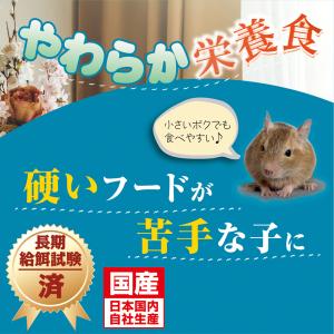 キョーリン ひかり デグデグソフト 350g ...の詳細画像1