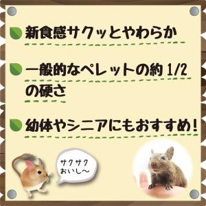 キョーリン ひかり デグデグソフト 350g ...の詳細画像2