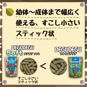 キョーリン ひかり デグデグソフト 350g ...の詳細画像3