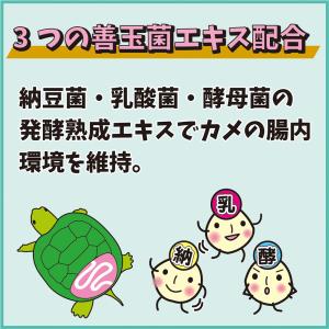 キョーリン おおきなカメのエサ ハイパークリア...の詳細画像5