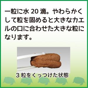 キョーリン ひかりベルツノ 120g カエル ...の詳細画像4