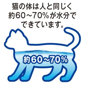 アイシア 健康缶パウチ 水分補給 まぐろとかつ...の詳細画像3