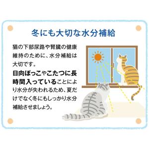 アイシア 健康缶パウチ 水分補給 まぐろとかつ...の詳細画像4