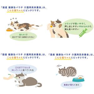 アイシア 国産 健康缶パウチ 介護用高栄養食 ...の詳細画像4